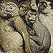 Fig. 2 Gabriel von Max, Affen als Kunstrichter (1889), oil on canvas. Neue Pinakothek.