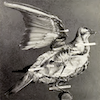 Reading the Body-Object: Nineteenth-Century Taxidermy Manuals and Our Mutual Friend