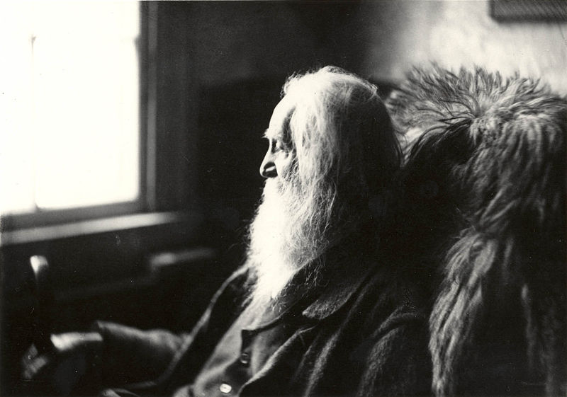 ‘Pioneers! O Pioneers!’ and Whitman’s Early German Translators