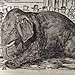 Fig. 5 George Cruikshank, THE ELEPHANT, as he laid dead at Exeter Change (in March 1826), (1827), wood engraving. Author's collection.